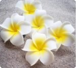 Foam Aritificial Flowers