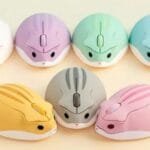 Computer Mouse with Mouse Pad