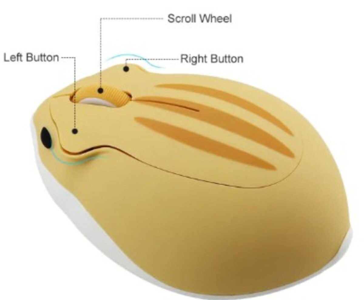 Computer Mouse with Mouse Pad