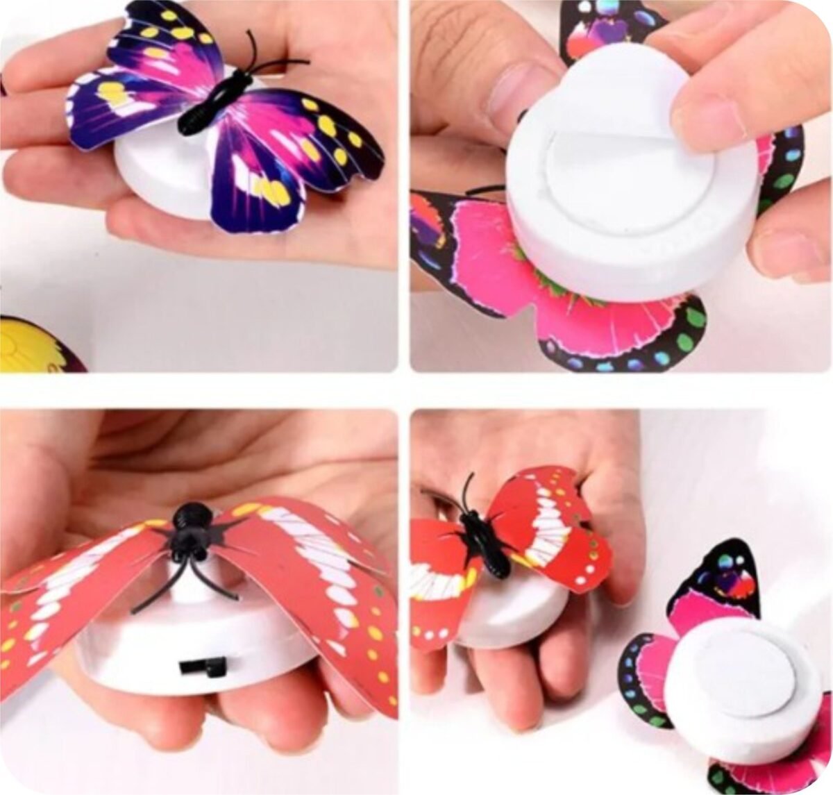 LED Butterfly 10 pcs Set-Mix Color