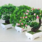 Bonsai Rubber Artificial Potted Plant Peperomia