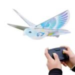 RC E- Flying BirdBird 2.4G 2CH Remote Control Toy