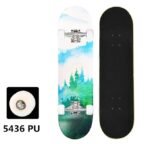 Unisex Beginner Quad Skateboard for Boys and Girls - Image 3